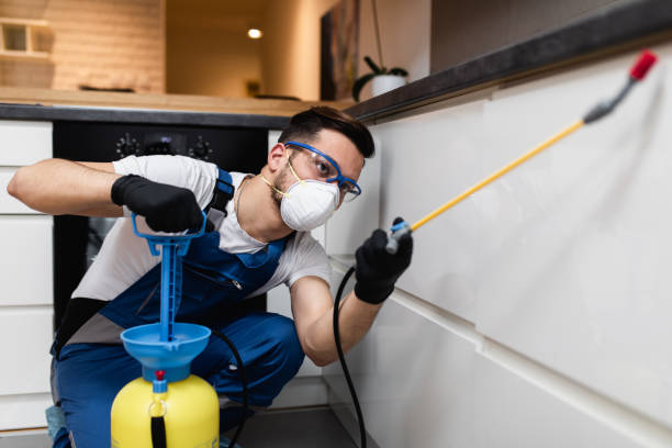 Best Affordable Pest Control Services  in Ridgely, TN