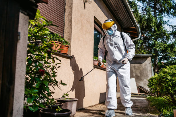 Best Mosquito Control Services  in Ridgely, TN