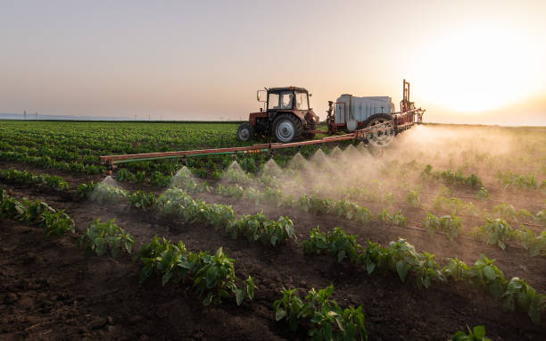 Best Pest Prevention Services  in Ridgely, TN