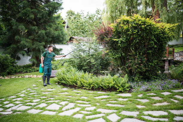 Best Pest Control Treatment  in Ridgely, TN
