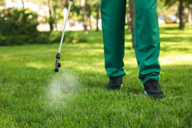 Best Bed Bug Extermination  in Ridgely, TN