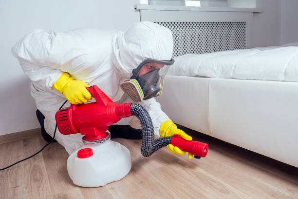 Best Affordable Pest Control Services  in Ridgely, TN