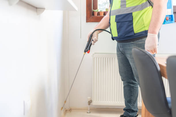 Best Local Pest Control Services  in Ridgely, TN