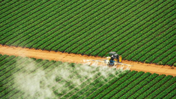 Best Pest Control for Restaurants  in Ridgely, TN