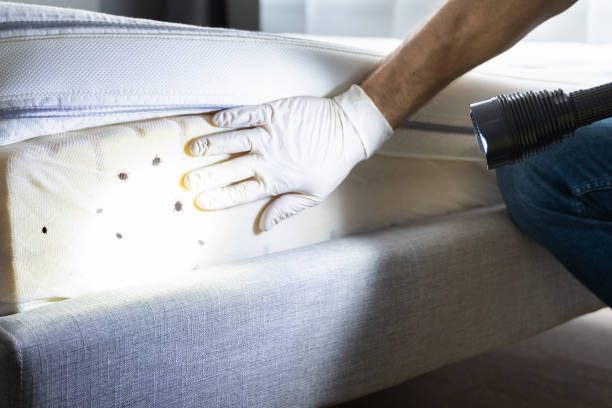 Pest Control for Restaurants in Ridgely, TN