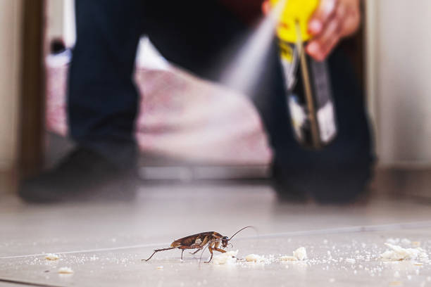 Best Best Pest Control Companies  in Ridgely, TN